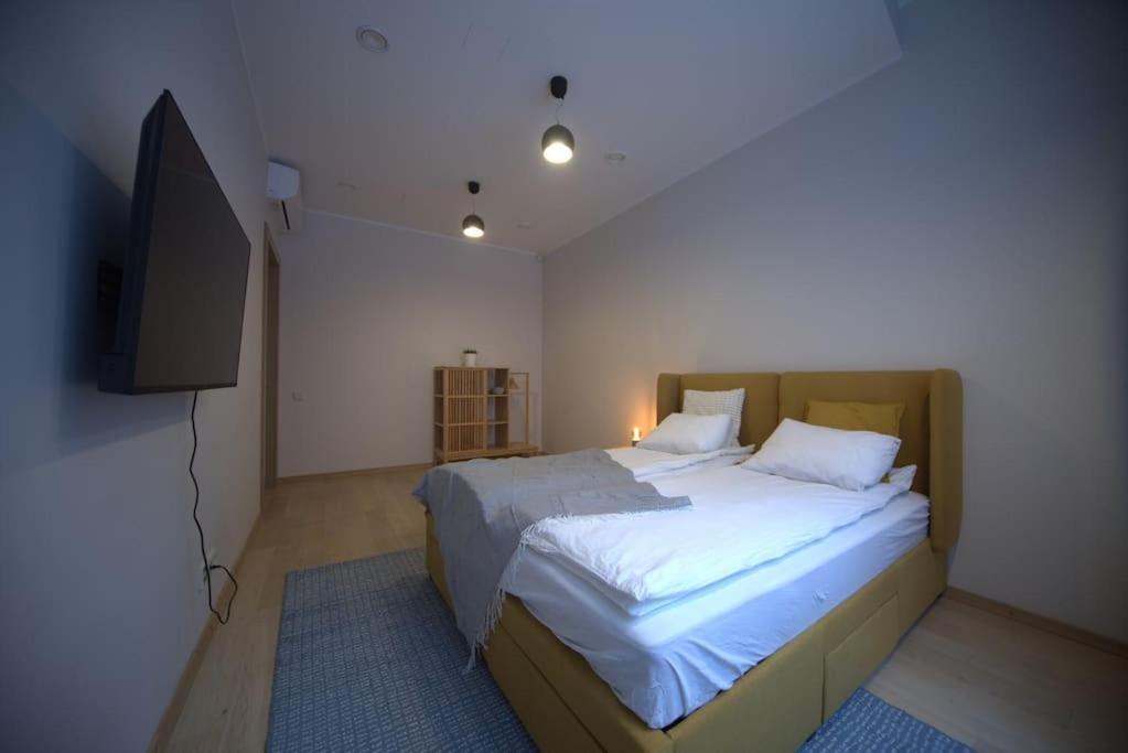 3 Bedroom Apartment In The Old/T Riga Kültér fotó