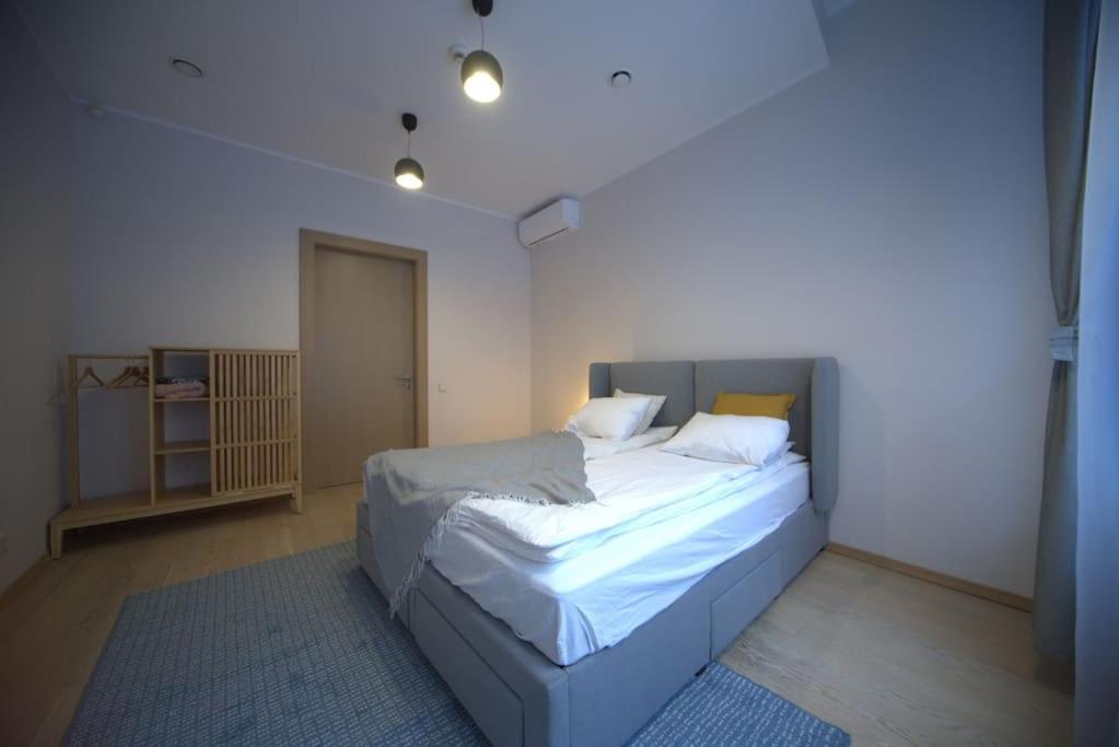 3 Bedroom Apartment In The Old/T Riga Kültér fotó